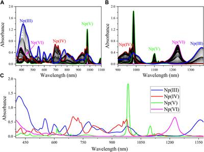 Quantifying neptunium oxidation states in nitric acid through spectroelectrochemistry and chemometrics